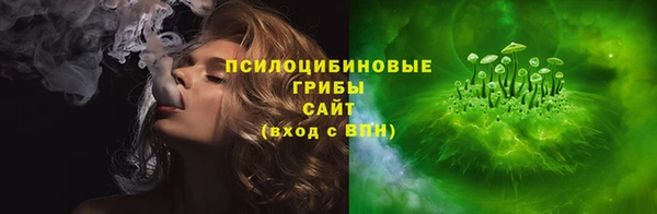 дурь Новозыбков