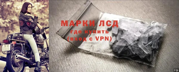 сатива Болохово
