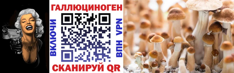Псилоцибиновые грибы ЛСД darknet формула Поронайск